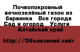 Почвопокровный, вечнозелёный газон из барвинка - Все города Сад и огород » Услуги   . Алтайский край